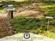 Jubilejn 10.ronk medzinrodnho cvienia Slovensk tt